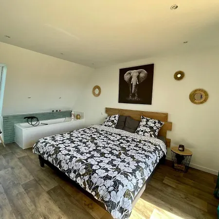 Grande Maison A 200m De La Plouguerneau